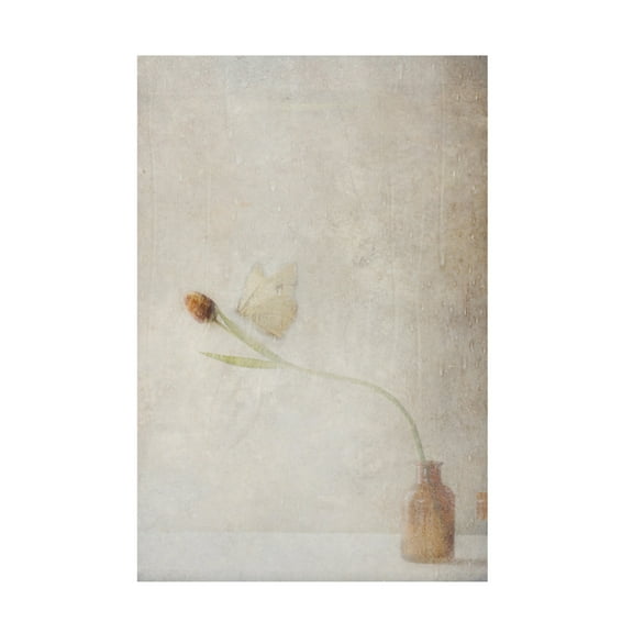 Canvas Wall Art - Delphine Devos 'Ephemeral Meeting' Wall Art for Living Room, Bedroom, or Office D?cor by Trademark Fine Art - 12 x 19 Inches