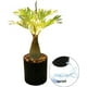 thumbnail image 2 of Lampara De Noche Tipo Palmera Con Luz Led Y Piedras Decorativas, 2 of 5