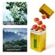 thumbnail image 5 of Té Puer de cáscara de naranja de 65g, té chino Yunnan Pu Erh para dormitorio diario de oficina y casa de té, 5 of 5