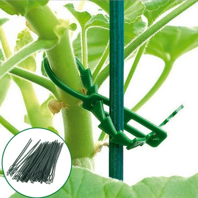 Cordón con cremallera para escritorio de computadora, bridas para jardinería, bridas para árboles, bridas para árboles, bridas para cables de jardín, tecnología avanzada