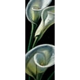 thumbnail image 2 of AlmaCh 9x18 White Modern Wood Framed Museum Art Print Titled - Dewdrop Callas, 2 of 4