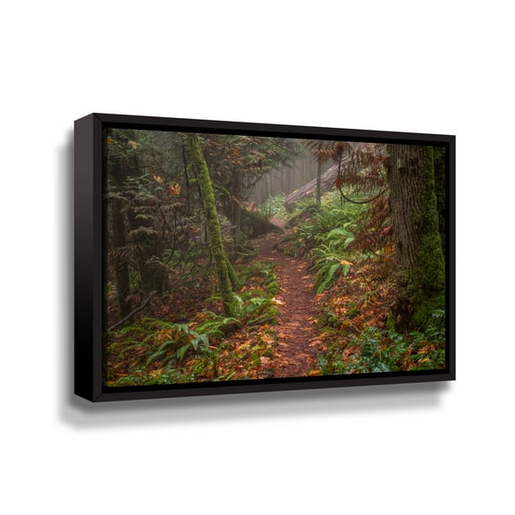 Artwall Forest Stroll, Gallery Wrapped Floater-framed Canvas by Tim Oldford