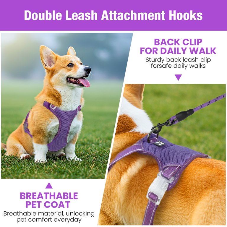 Jewyow No-Pull Dog Harness, Medium, Purple photo 8