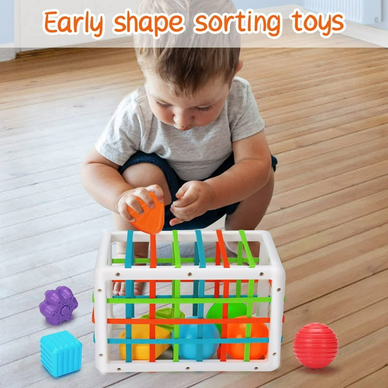 Montessori Toys For 1 Year Old Boy Girl, Baby Toys 12-18 Months, Shape  Sorter Toys With Sensory Blocks, Sensory Bin Toys For Toddlers 1-3,  Educational