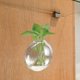 thumbnail image 5 of Plantador de vidrio de vidrio colgante de pared Vase de flores Hydroponics Plantas Jarrón de vidrio de pared, 5 of 8