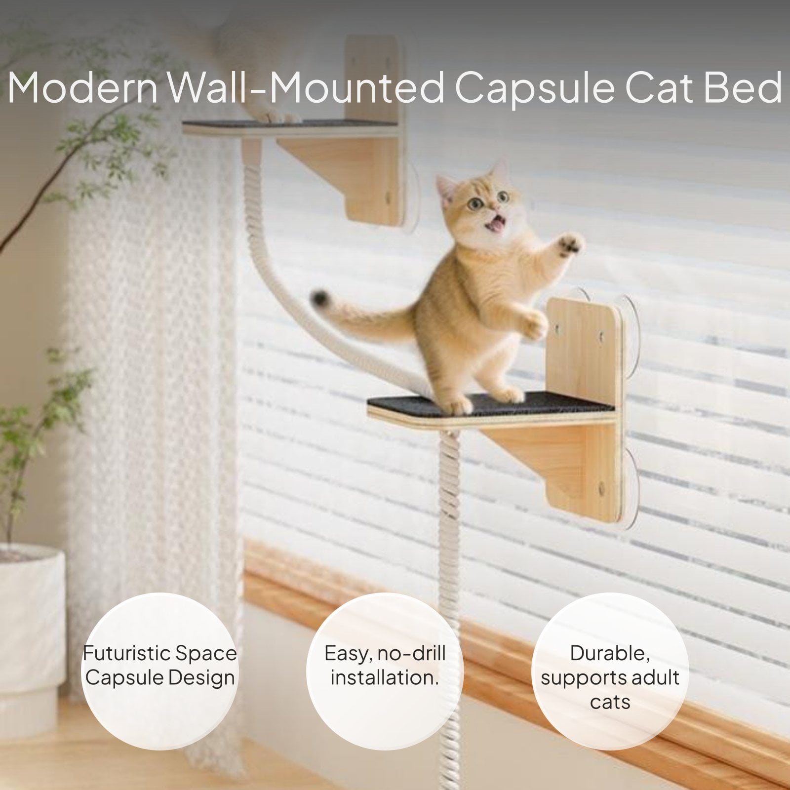 Tnarru Solid Wood Cat Hammock Wall-Mounted Cat Bed Space Capsule Cat Head Scratcher
