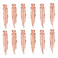 thumbnail image 1 of Skin Tag Removal Clip Skin Tag Remover Tool Skin Mole Wart Remover Skin Tag Remover Clips Safe Copper Smooth Skin Tag Removal Tool For Face Neck Body12 Pcs ANGGREK 12 piezas, 1 of 8