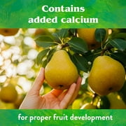 Down To Earth All Natural Fertilizers Fruit Tree 6-2-4, 15 lb Box