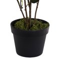 thumbnail image 3 of Vickerman TA181845 Plante de Rose Jaune de 45 Po en Pot, 3 of 3