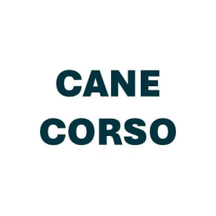 Cane Corso Pill Butter