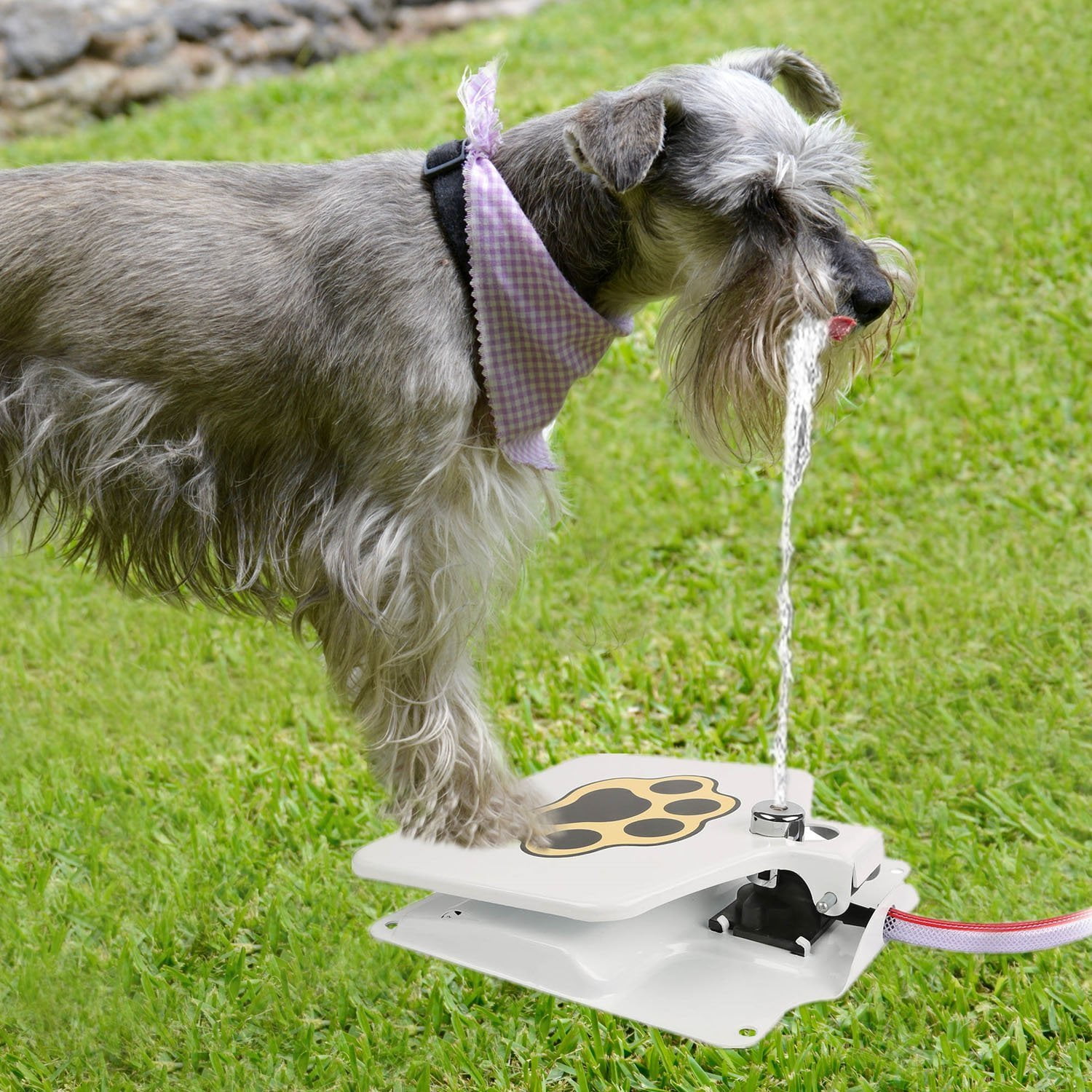 Imountek Hygienic Dog Pet Geyser Water Fountain 41 Hose