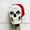 A, variant on Kumdkd 12 Foot Skeleton Christmas Outfit Santa Scarf Set with Adhesive for Heavy Secure Outdoor Decorations
