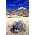 thumbnail image 3 of Taylor, Douglas 17x24 Black Modern Framed Museum Art Print Titled - Desert Grasslands II, 3 of 5