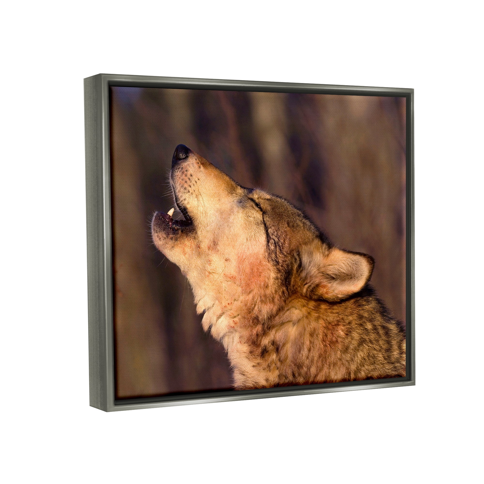 Stupell Industries Howling Wolf Photography Animals & Insects Photography Gray Floater Framed Art Print Wall Art, 31 x 25