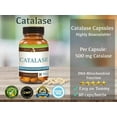thumbnail image 4 of Catalase 12,500 Catu (500mg) Supplement Potent Antioxidant (Vegan) by Suzy Cohen, 4 of 7