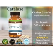 Catalase 12,500 Catu (500mg) Supplement Potent Antioxidant (Vegan) by Suzy Cohen