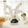 thumbnail image 5 of Orchid Floral Arrangement in Vase - Elegant Artificial Flowers for Home Office, 5 of 6