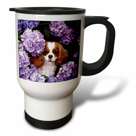 3dRose Cavalier King Charles Spaniel, Travel Mug, 14oz, Stainless Steel