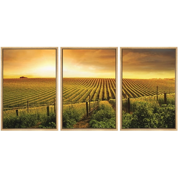 wall26 - 3 Piece Framed Canvas Wall Art - a Beautiful Sunset Over a Barossa Vineyard - Modern Home Art Stretched and Framed Ready to Hang - 16"x24"x3 NATURAL
