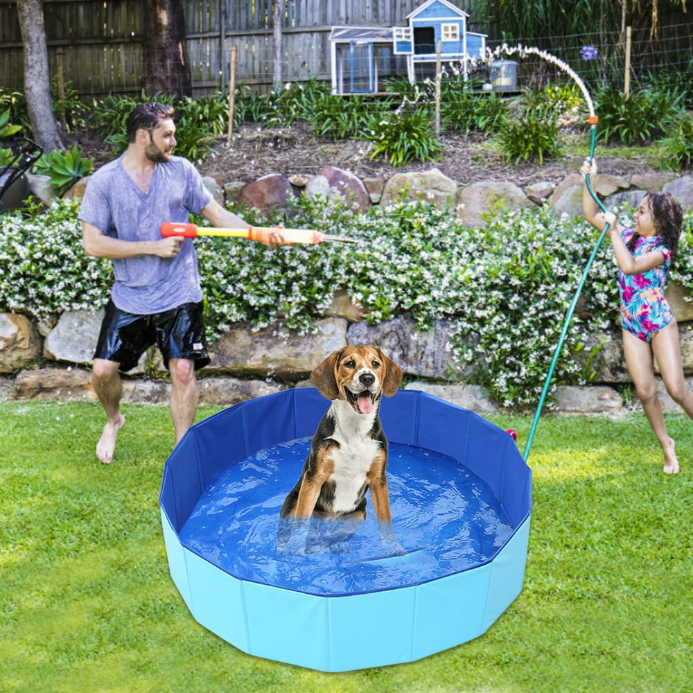 kiddie dog pool
