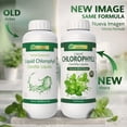 thumbnail image 2 of Vida Herbal - Liquid Chlorophyll 1 Lt Herbal Supplement - Natural Energy Boost and Internal Deodorant, 2 of 6