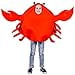 thumbnail image 3 of KalcyKizz Child's Unisex King Crab Costume One Size, 3 of 4
