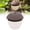 A, variant on Slug Traps For Garden 2026 New Garden Snail Slug Trapping Box,Reusable Plastic Snails Traps,SnailCage Slugs House for for Garden Farm,Friendly to Catch Snails Catcher,Gardeners Gift