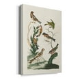 thumbnail image 2 of Antique Birds in Nature I Premium Gallery Wrapped Canvas - Ready to Hang, 2 of 9