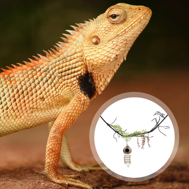 GOOHOCHY 1Jgo Accesorio Para Vivarios De Reptiles Con Y Artificiales Resistentes