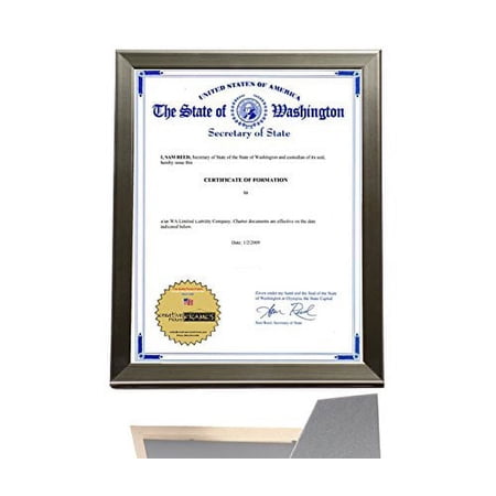 CreativePF- 8.5 by 11 inch Stainless Steel Certificate Frames Collection for Cosmetology Professionals- Displays Certificates, Achievements , Awards and more -Self Standing with Hanger