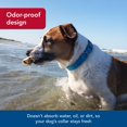 thumbnail image 4 of Collar para perros Coastal Pro, ajustable, impermeable, verde lima, 2 cm x 25-36 cm, 4 of 7