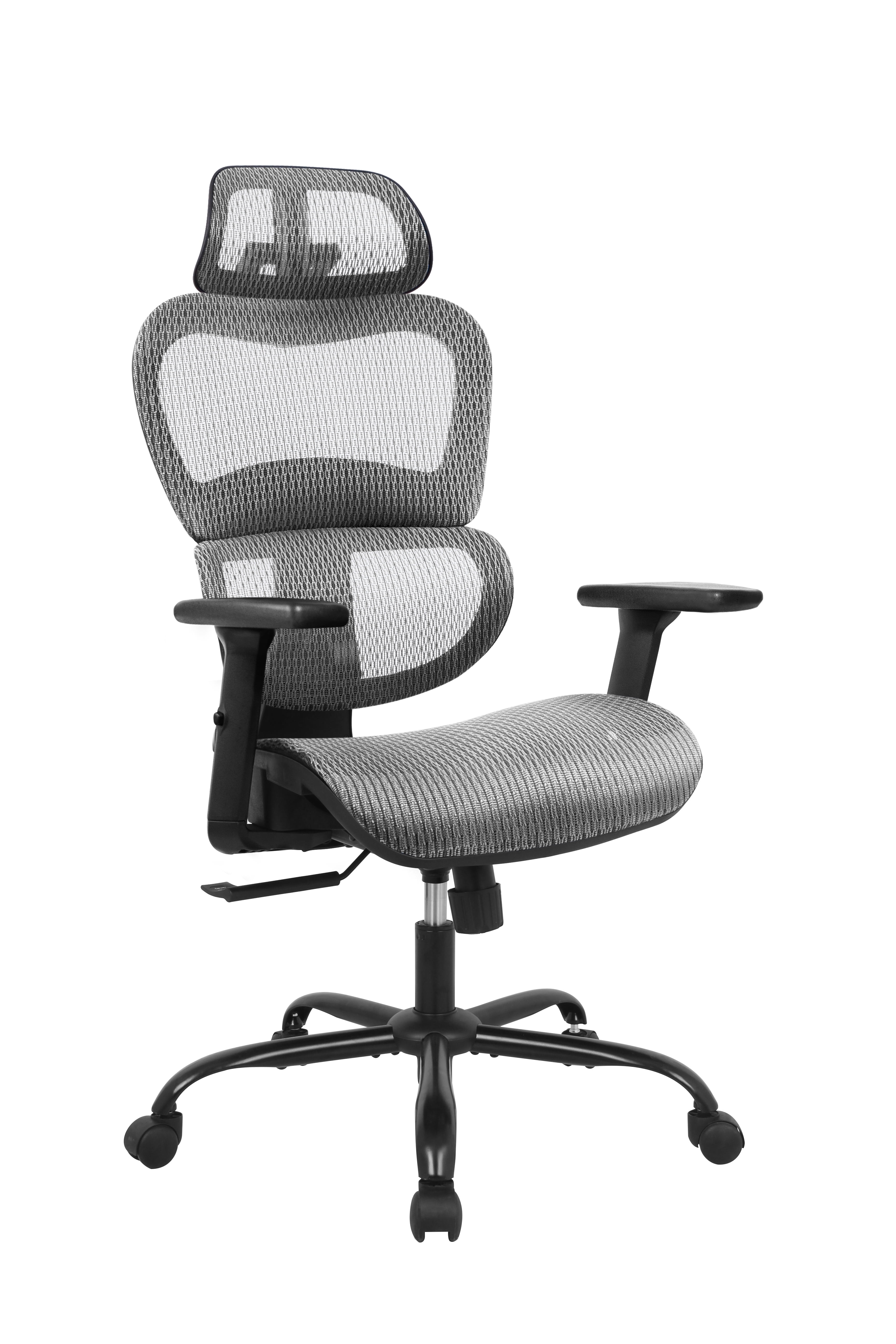 Lifcasual Ergonomic Office ChairRolling Desk Chair with 3D Adjustable