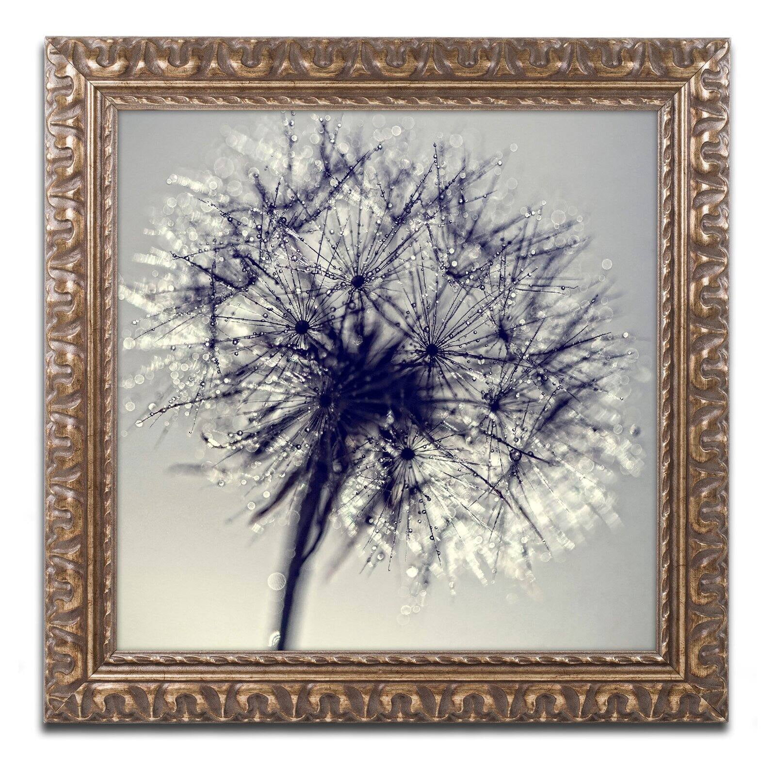 Trademark Fine Art "Morning Sparkles" Canvas Art by Beata Czyzowska Young, Black Matte, Black Frame