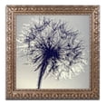 thumbnail image 2 of Trademark Fine Art "Morning Sparkles" Canvas Art by Beata Czyzowska Young, Black Matte, Black Frame, 2 of 9