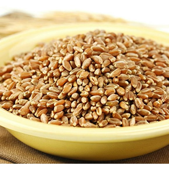 Hard Red Wheat Berries