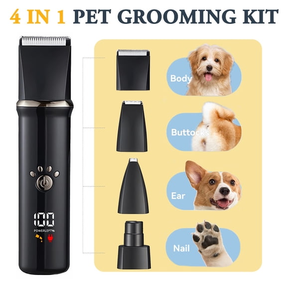 Shaggy Moroccan Area Rug, Pink, 4' x 6', Indoor Use