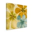 thumbnail image 2 of Trademark Fine Art 'Springtime Glow II' Canvas Art by Alonzo Saunders, 2 of 4