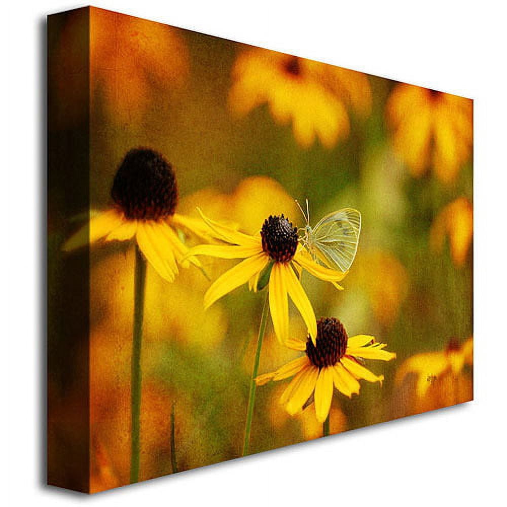 Trademark Fine Art "Butterfly on a Flower" Canvas Wall Art by Lois Bryan