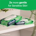thumbnail image 2 of 2X - Cottonelle GentlePlus Flushable Wet Wipes with Aloe & Vitamin E, 2 of 5