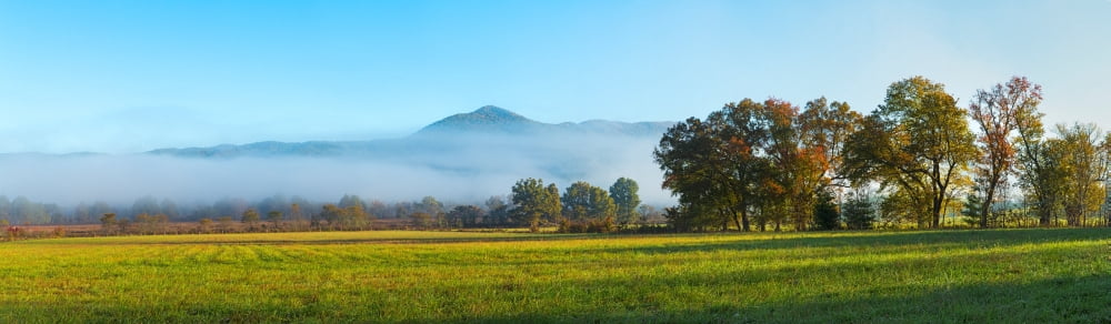 Fog Over Mountain C