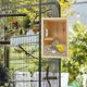 thumbnail image 4 of Bird Nest Box Parakeet Breeding Nest Box Bird Nest House Wooden Acrylic Transparent Breeding Box For Finch Lovebirds Cockatiel Budgie Conure Parrot, 4 of 5