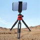 thumbnail image 3 of Mini Trípode Multifuncional para Cámaras y Teléfonos, Trípode de Escritorio, de Selfie Portátil para Vlogs con Cabezal Esférico de 360°, Color Negro, 3 of 5