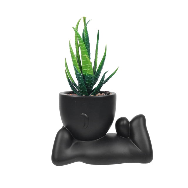 Modern Mini Ceramic Succulent Plant Pot, Cute Desktop Planter for Home Gardening and Table Decoration