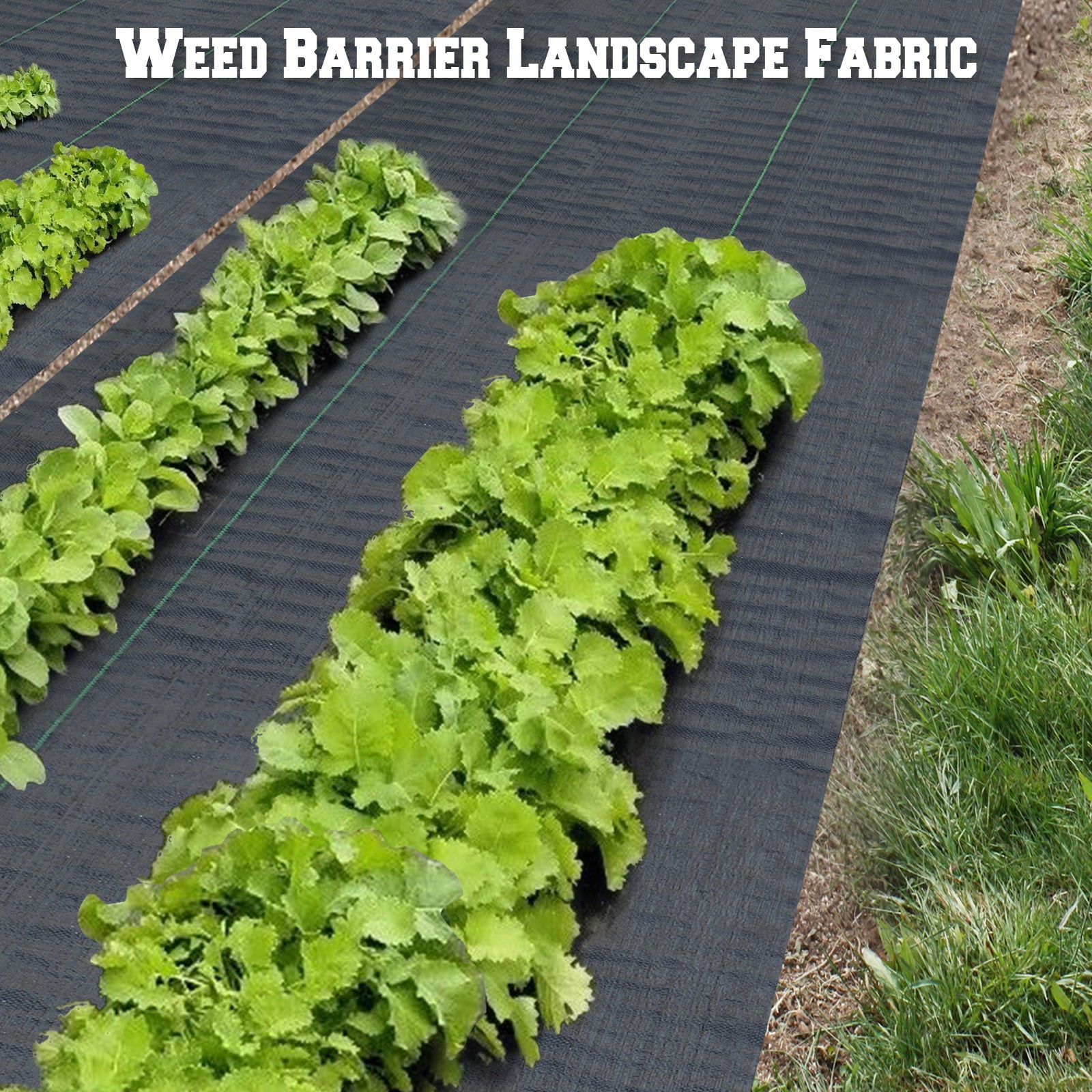 SUNNYOUTDOOR 4x250ft Weed Barrier Garden Landscape Fabric Durable Heavy-Duty Weed Block Gardening Mat