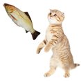 thumbnail image 2 of Bangcool Kitten Fish Toy Plush Cotton Realistic Cat Chewing Toy Cat Playing Toy for Home, 2 of 10