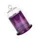 thumbnail image 2 of Candelero de Cúpula de Cristal Cloche, Cúpula de Cristal con Base, Cubierta de Campana de Cristal, Tarro de Vela, Taza para Dulces, Plantas, Exhibició Violeta, 2 of 8