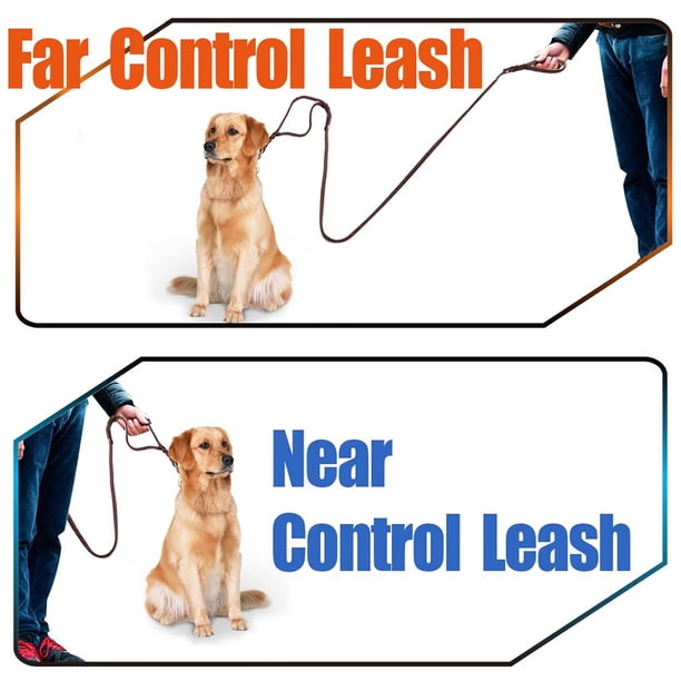 Las Mejores Correos Largas Para Perros: Comparativa De Modelos De 10 Metros