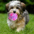 thumbnail image 3 of Flmtop Dog Molar Ball Bite Resistance Safe TPR LED Dancing Ball Toys for Dog Random Color, 3 of 9
