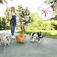 thumbnail image 3 of IFANLANDOR Collier de Dressage pour Chien Solide Lot de 1 Trois Têtes en Nylon Rouge, 3 of 7