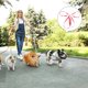 thumbnail image 4 of unbranded Correa De Entrenamiento Para Perros Ajustable Con Triple Clip En Resistente Y Cómoda, 4 of 7